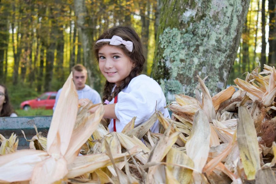 2. Grđevačka komušijada