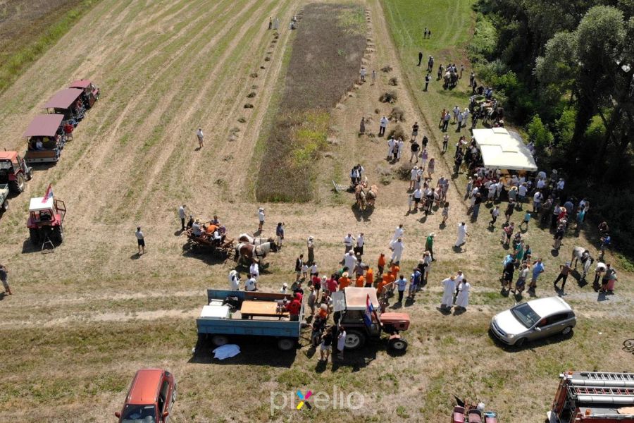 Žetva u Velikom Grđevcu