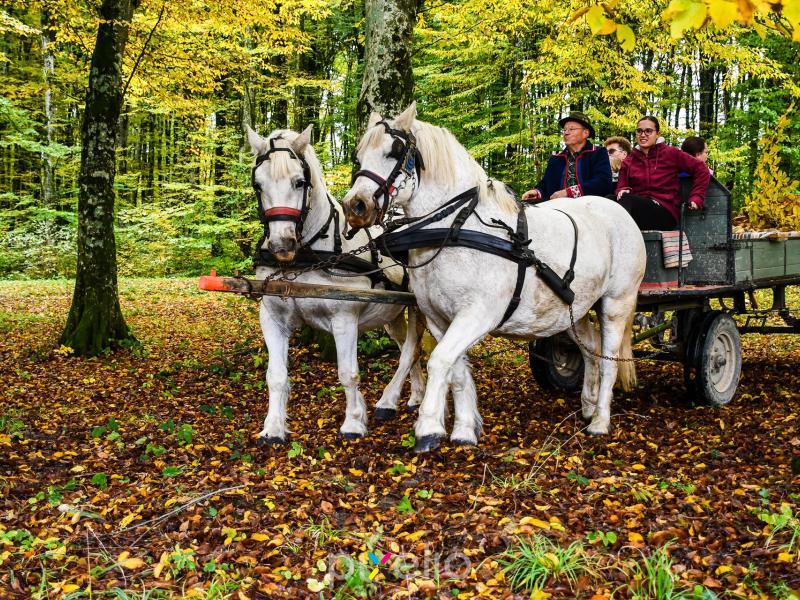 3. Grđevačka komušijada