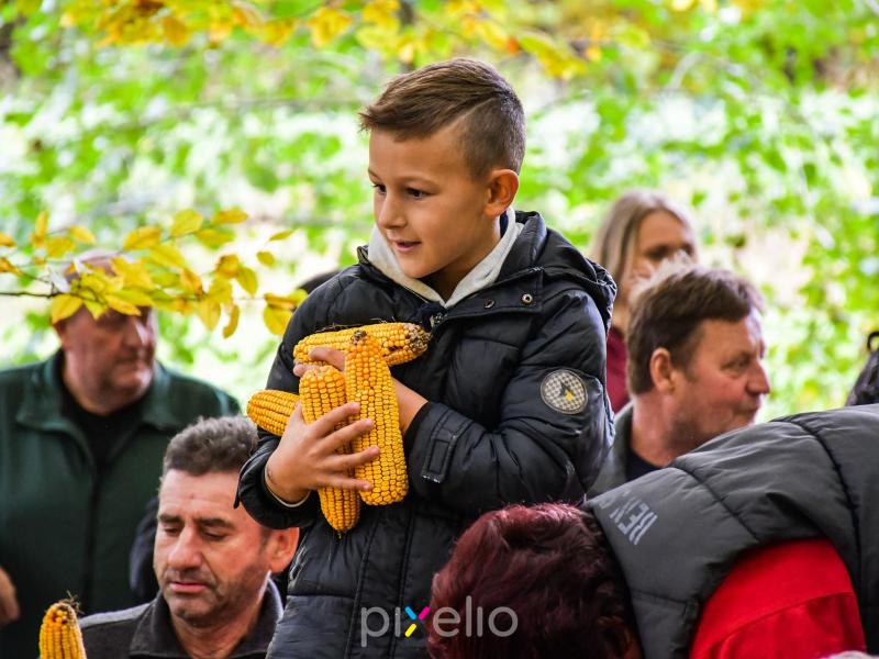 3. Grđevačka komušijada