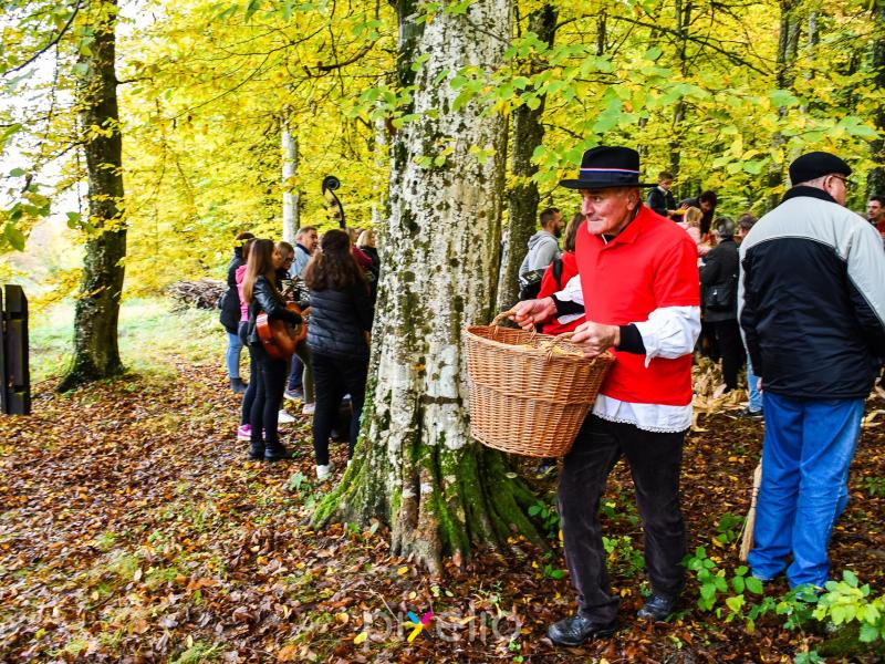 3. Grđevačka komušijada