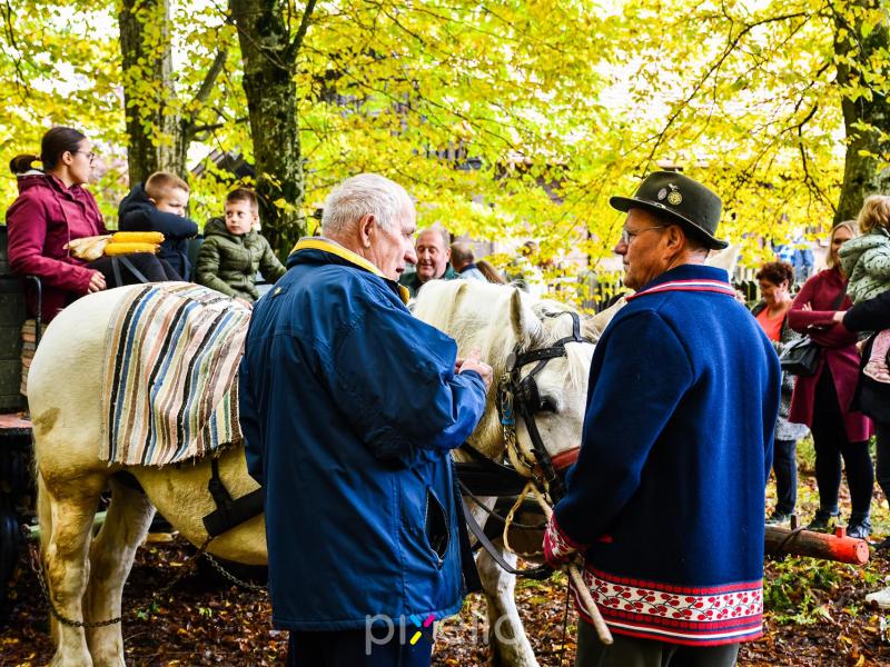 3. Grđevačka komušijada