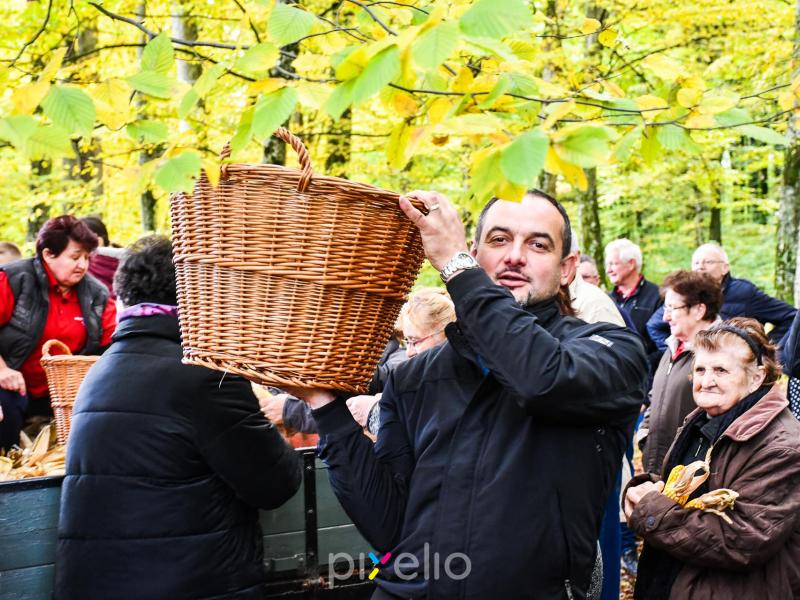 3. Grđevačka komušijada