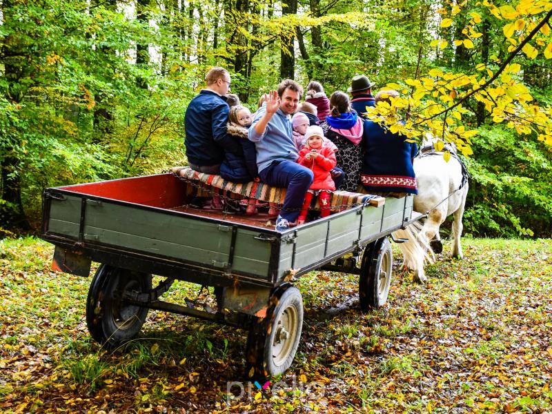 3. Grđevačka komušijada