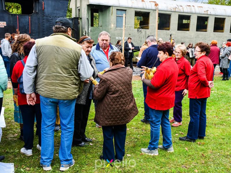 3. Grđevačka komušijada