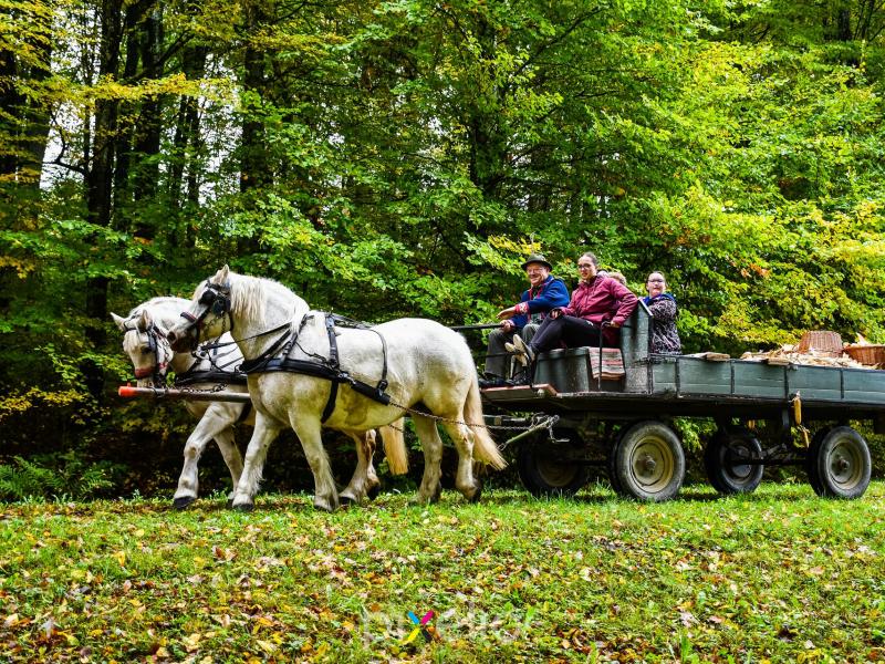 3. Grđevačka komušijada