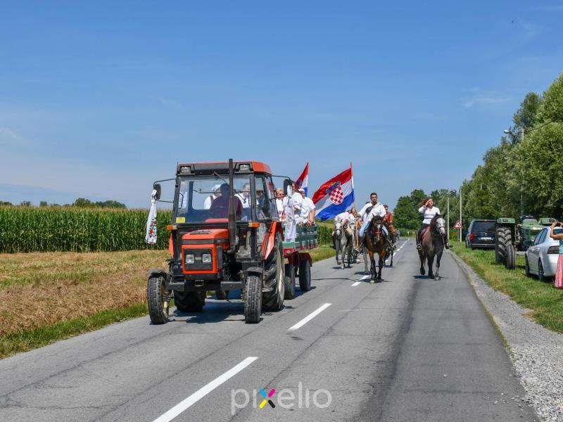 Žetva u Velikom Grđevcu