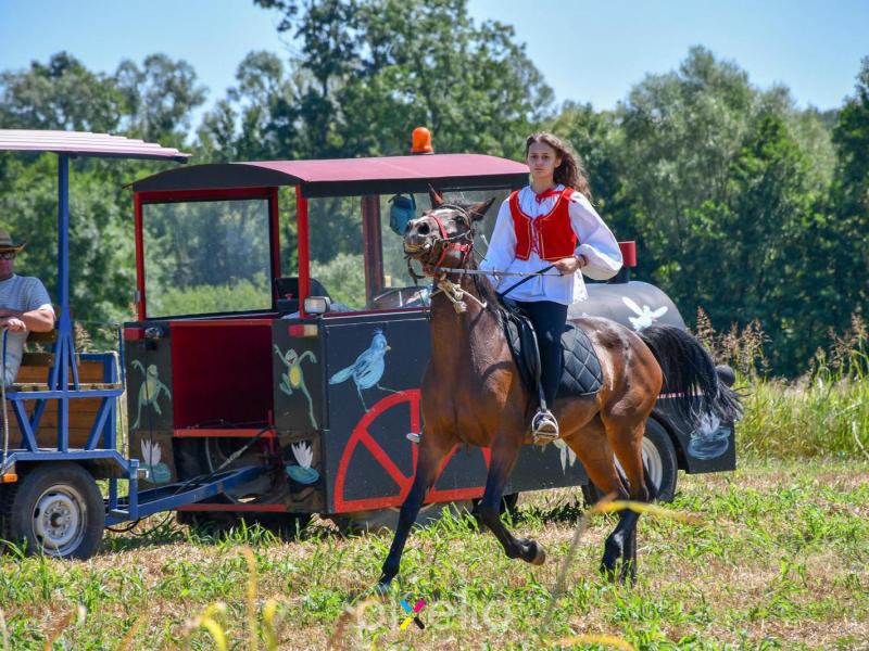 Žetva u Velikom Grđevcu