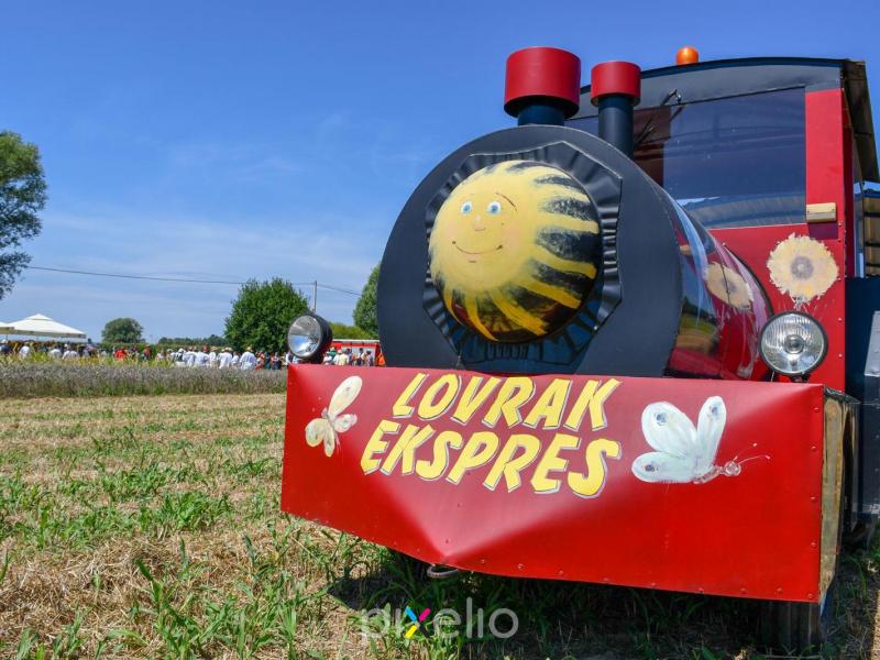 Žetva u Velikom Grđevcu