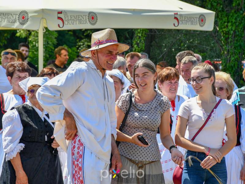 Žetva u Velikom Grđevcu