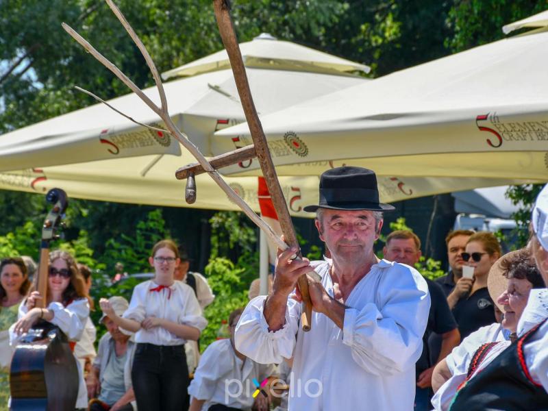 Žetva u Velikom Grđevcu