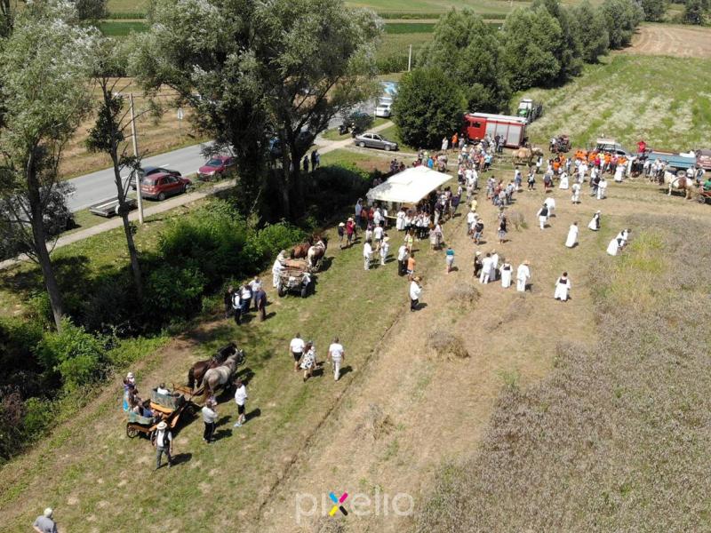 Žetva u Velikom Grđevcu