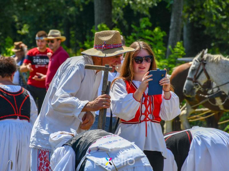 Žetva u Velikom Grđevcu
