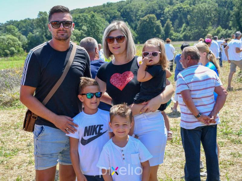 Žetva u Velikom Grđevcu