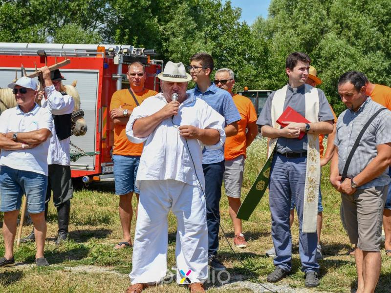 Žetva u Velikom Grđevcu