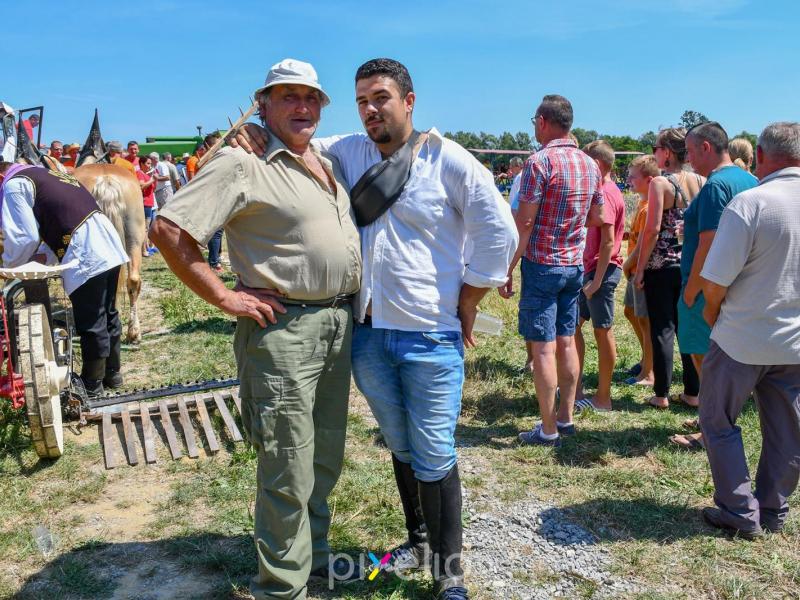 Žetva u Velikom Grđevcu