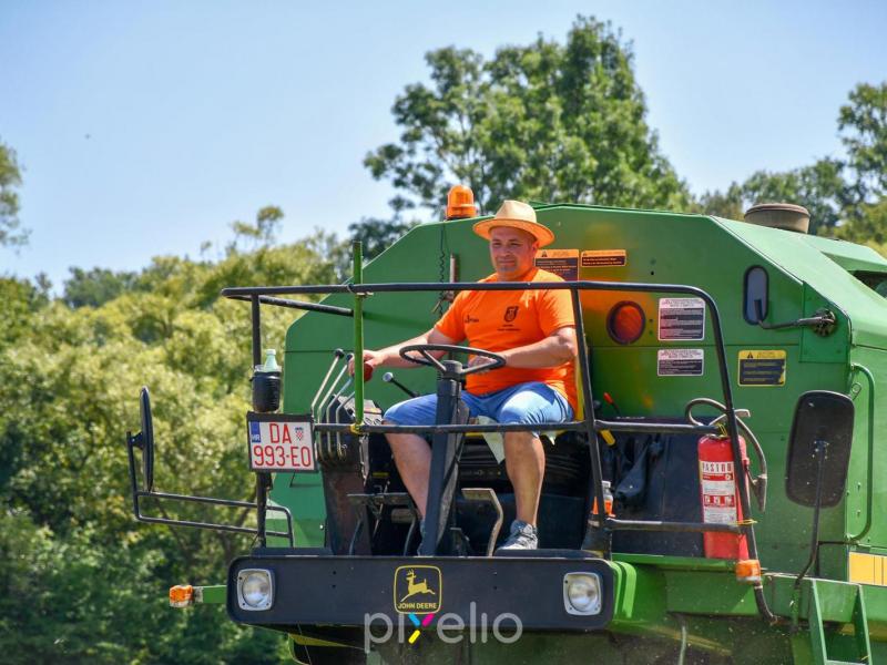 Žetva u Velikom Grđevcu