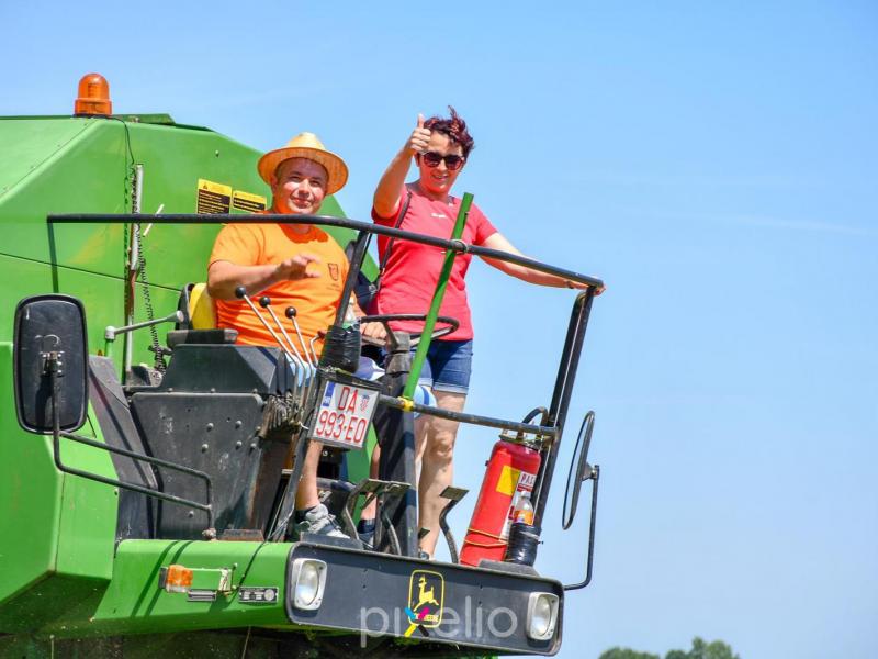 Žetva u Velikom Grđevcu