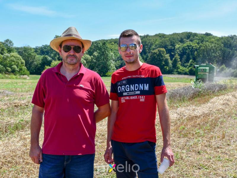 Žetva u Velikom Grđevcu