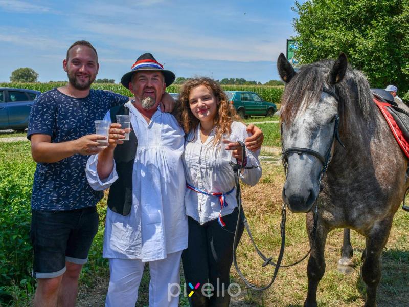 Žetva u Velikom Grđevcu