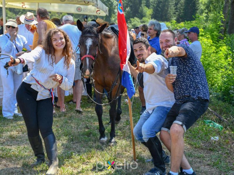 Žetva u Velikom Grđevcu