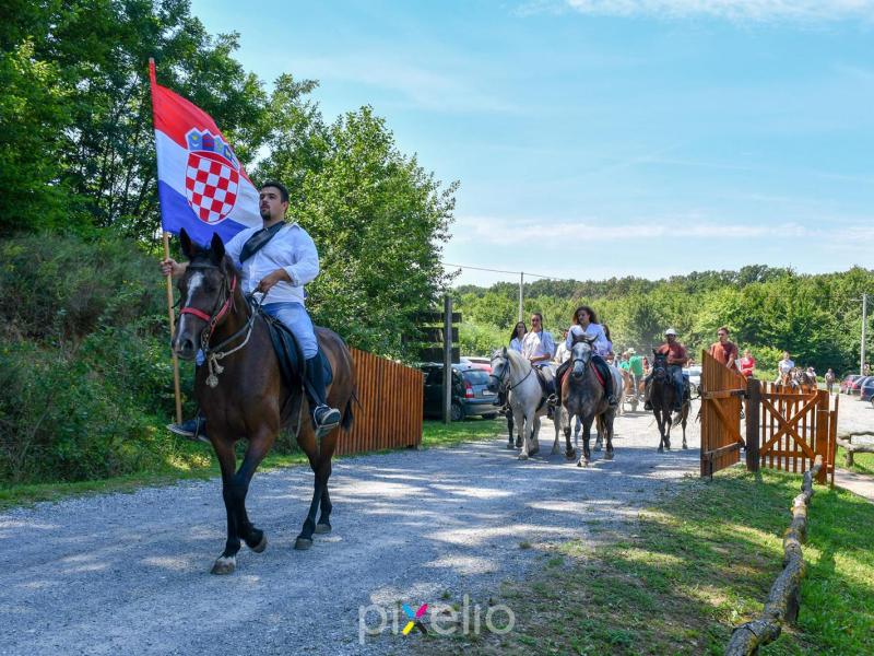 Žetva u Velikom Grđevcu