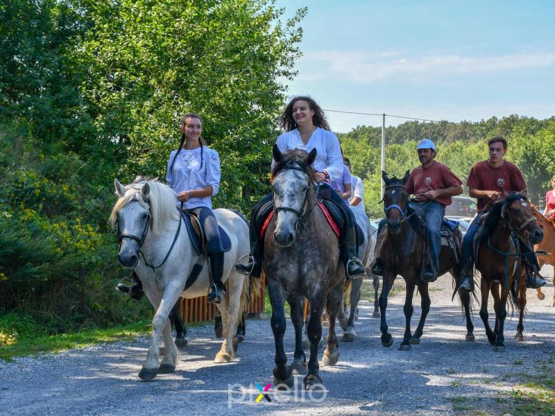 Žetva u Velikom Grđevcu