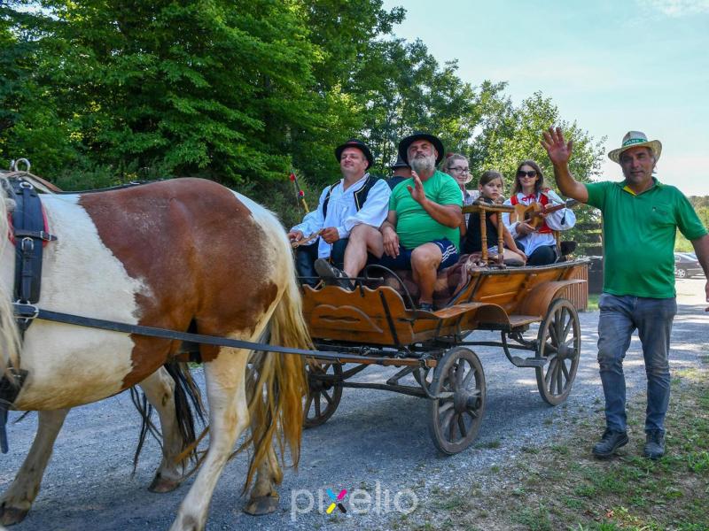 Žetva u Velikom Grđevcu