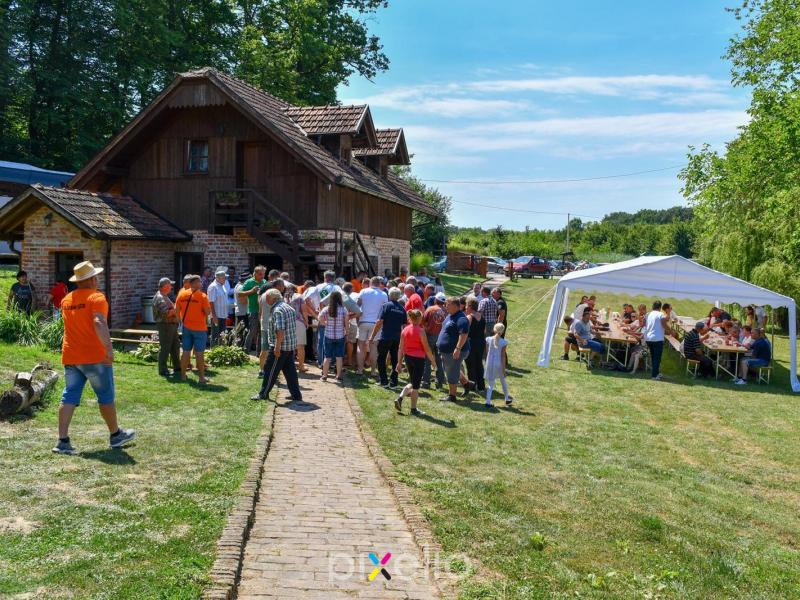 Žetva u Velikom Grđevcu