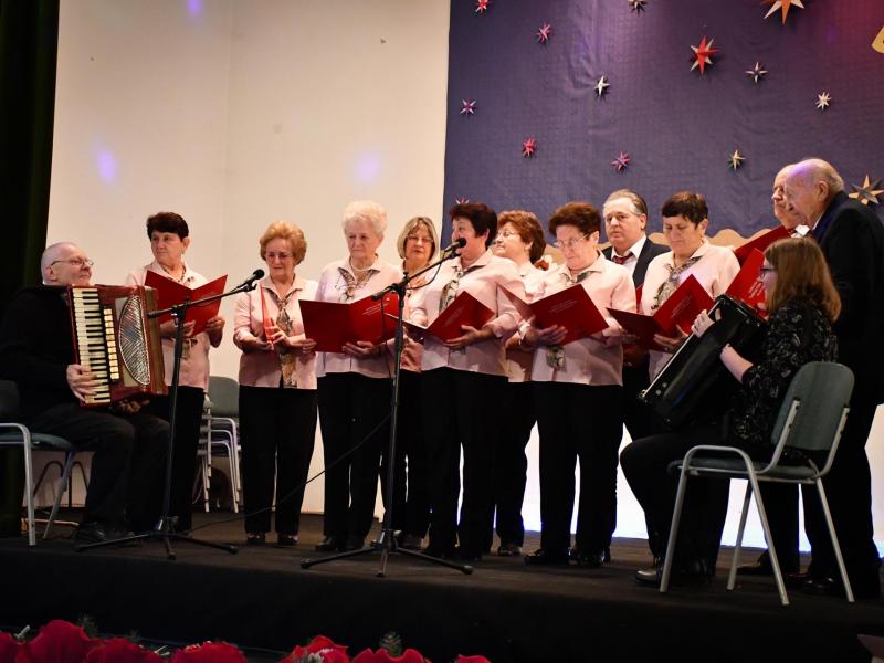 Božićno novogodišnji domjenak