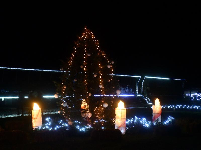 Advent u Centru Mato Lovrak