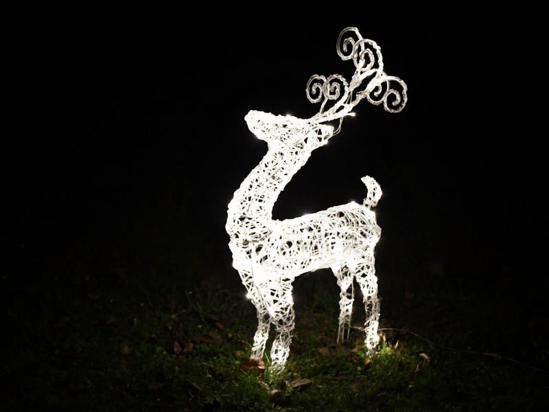 Otvorenje adventa na Lovrakovom centru i paljenje prve adventske svijeće