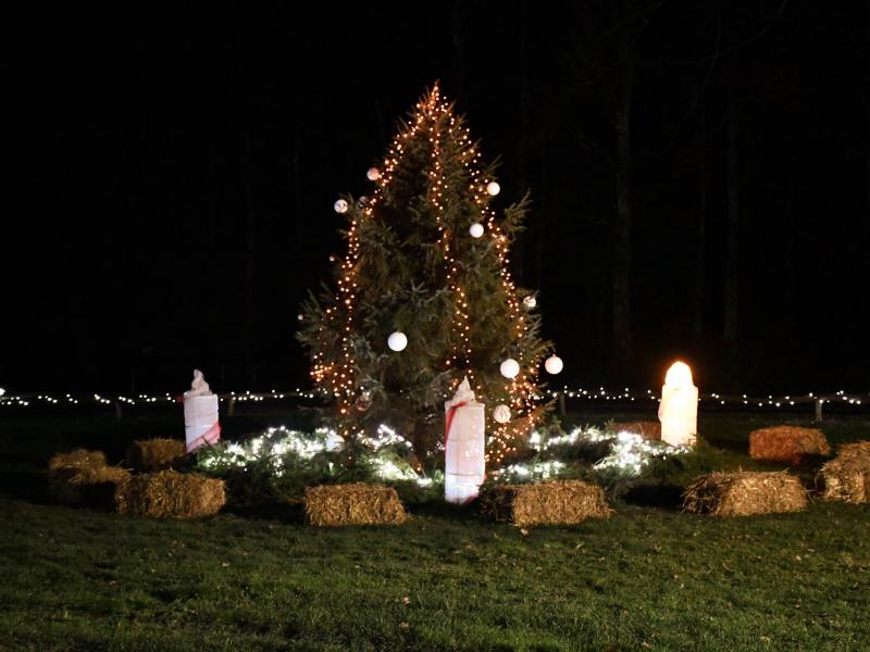 Otvorenje adventa na Lovrakovom centru i paljenje prve adventske svijeće