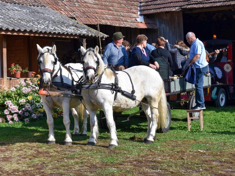 2. Grđevačka komušijada