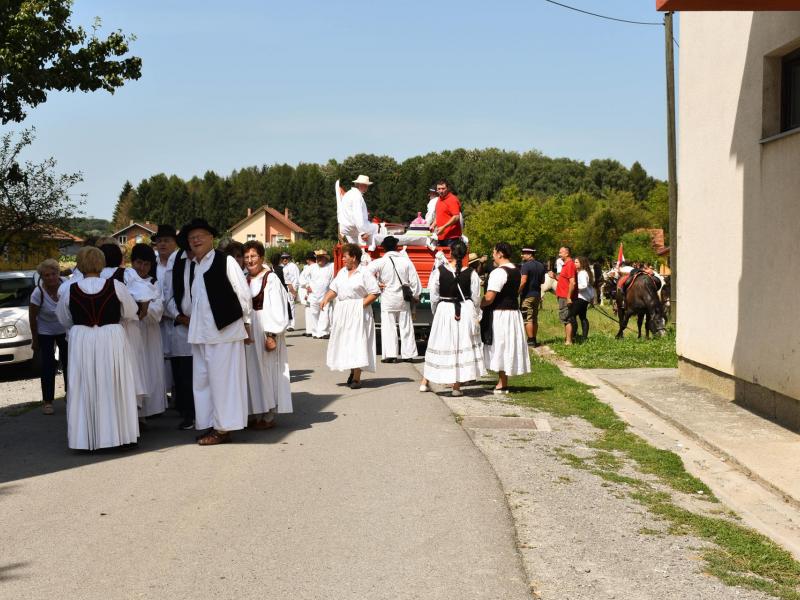 Starinski način žetve u Velikom Grđevcu