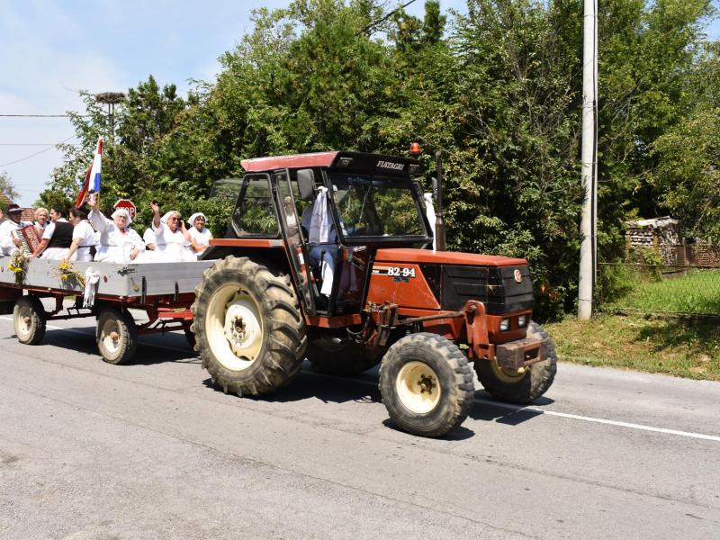 Starinski način žetve u Velikom Grđevcu