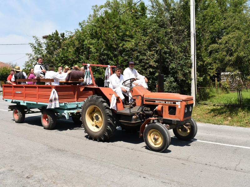 Starinski način žetve u Velikom Grđevcu