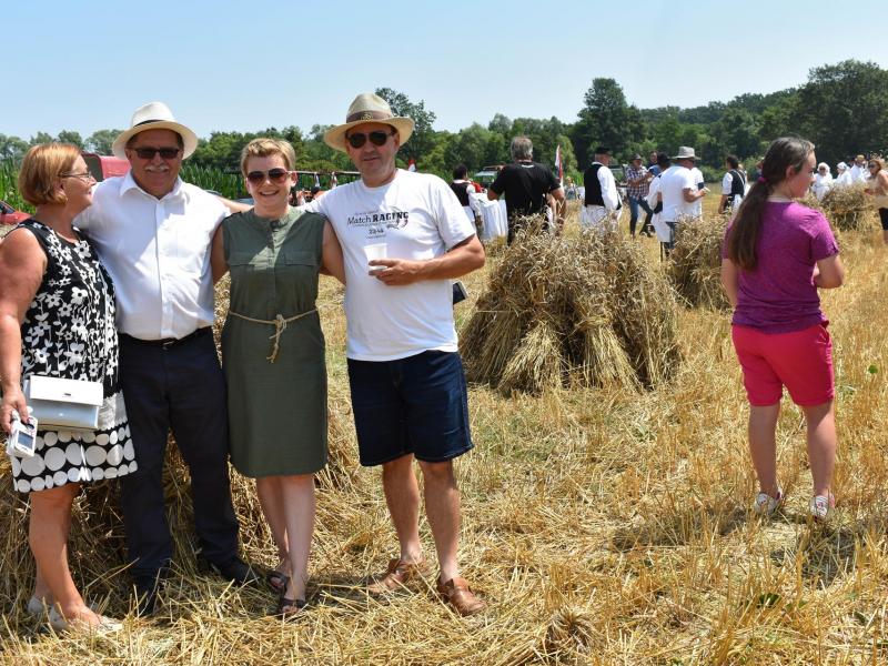 Starinski način žetve u Velikom Grđevcu