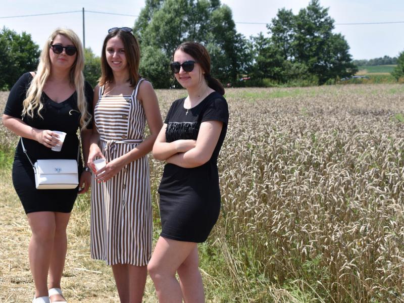 Starinski način žetve u Velikom Grđevcu