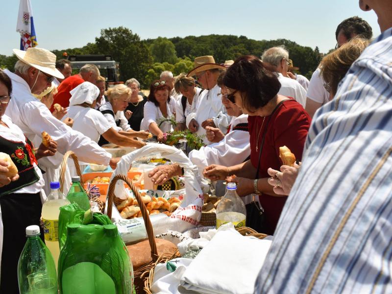 Starinski način žetve u Velikom Grđevcu