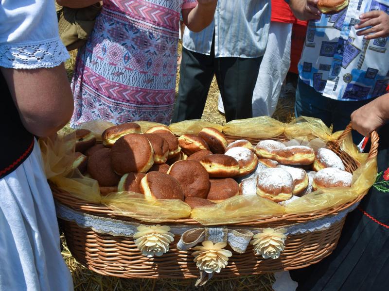 Starinski način žetve u Velikom Grđevcu