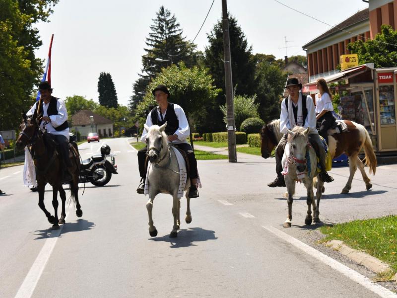 Starinski način žetve u Velikom Grđevcu