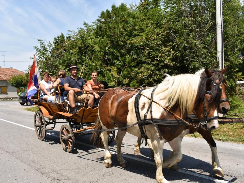Starinski način žetve u Velikom Grđevcu