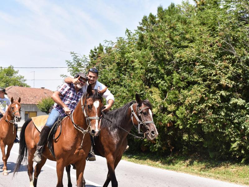 Starinski način žetve u Velikom Grđevcu