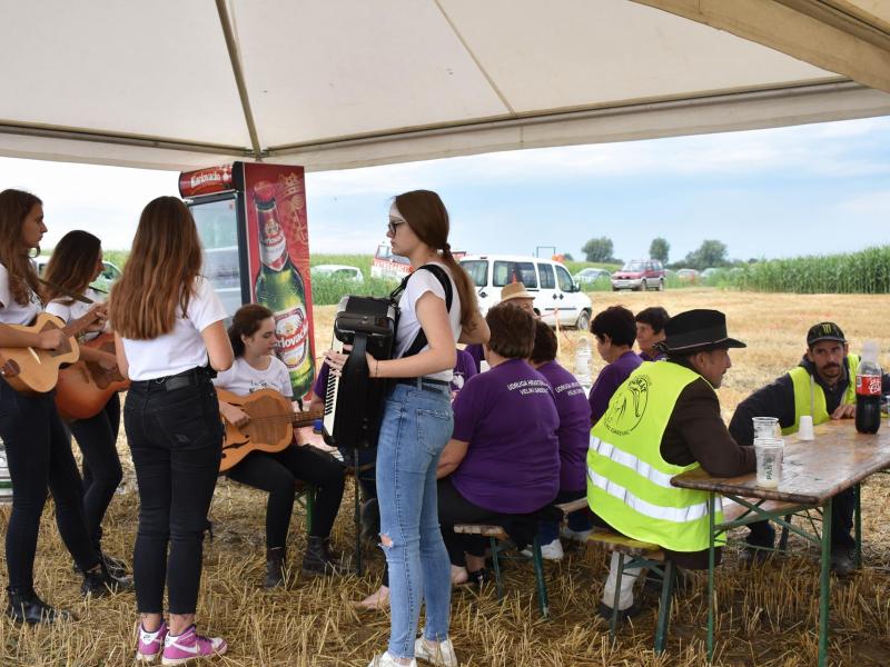 Natjecanje orača u Općini Veliki Grđevac