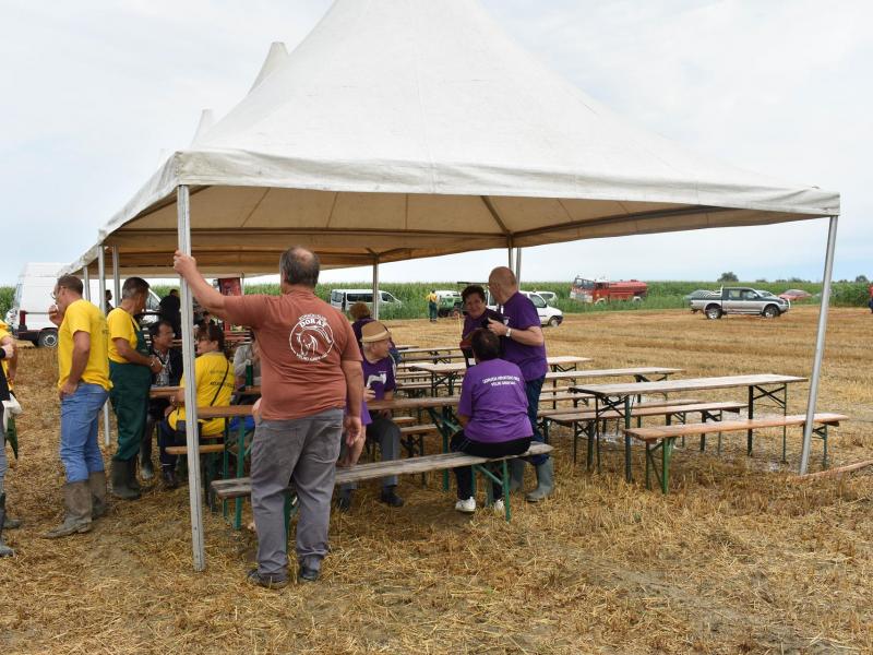 Natjecanje orača u Općini Veliki Grđevac