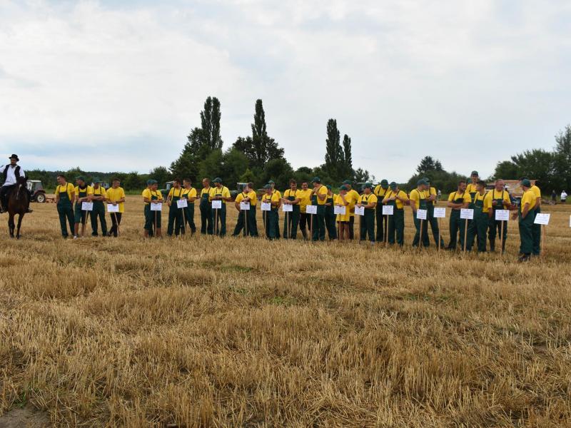 Natjecanje orača u Općini Veliki Grđevac