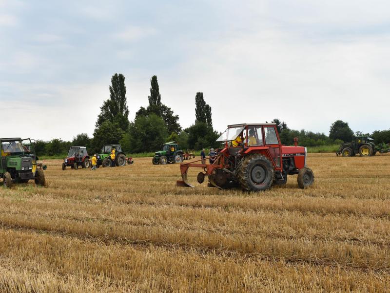Natjecanje orača u Općini Veliki Grđevac