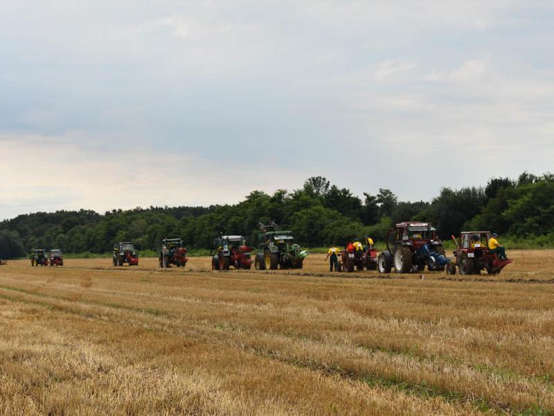 Natjecanje orača u Općini Veliki Grđevac