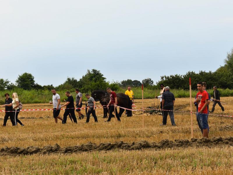 Natjecanje orača u Općini Veliki Grđevac